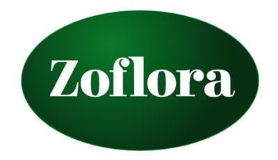 Zoflora Gutschein Zoflora Gutschein